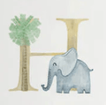 Letter H