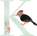 Letter K - Woodland