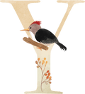 Letter Y - Woodland