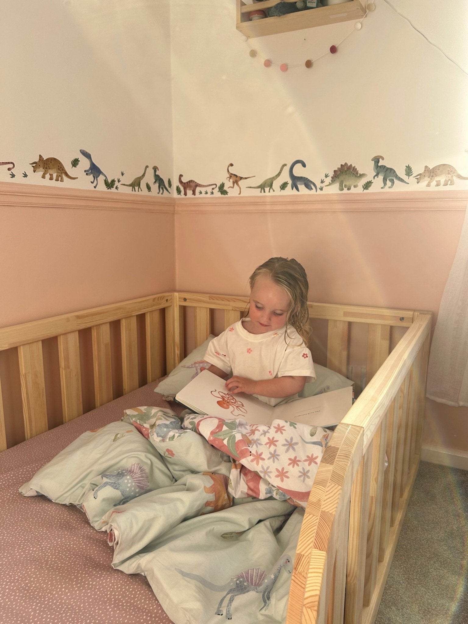 Dinosaur Adventure Nursery Wall Stickers - Nursery Stickers